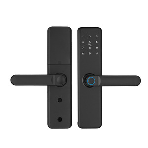 Xuyên biên giới thương mại điện tử bán buôn thông minh mật khẩu vân tay khóa cho cửa gỗ hợp kim nhôm kỹ thuật số graffiti khóa cho - Product Image 1