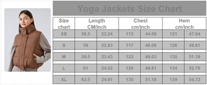 Veste sans manches en duvet d'oie pour femme, hiver 2024, col haut, plumes de canard, légère et respirante, vêtements chauds - Product Image 6