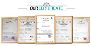 Vélo <span class=keywords><strong>électrique</strong></span> routier 2025 Light Bee X 60V 40ah, moteur Sur Ron LBX 8000W, vélo <span class=keywords><strong>électrique</strong></span> tout-terrain - Product Image 4