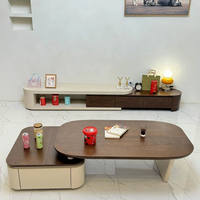 Ensemble de meuble TV et table basse pliables, écologiques et durables, de style nordique contemporain, avec rangement, pour le salon