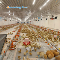 Système d'alimentation automatique au sol pour volailles, équipement d'alimentation pour poulets, ferme commerciale