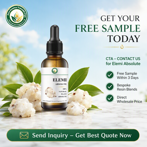 Ingrediente Naturale per la Produzione di Prodotti Skincare: Assoluta di Elemi (Canarium Luzonicum) per Creme e Lozioni <span class=keywords><strong>Viso</strong></span> di Lusso - Product Image 6