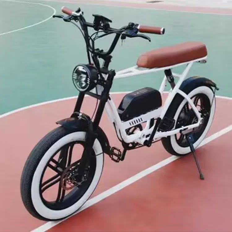 エレクトリックライダー 充電式バイク　自転車 エレクトリックライダー 充電式バイク 自転車