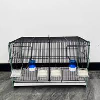 Cages à oiseaux chinoises Excel, cages hautes pour oiseaux, cages d'élevage pour canaris, grandes cages en métal