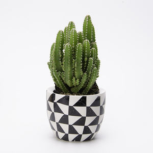 Dot fancy vasi succulenti unici, vaso da fiori in ceramica da giardino succulente <span class=keywords><strong>cactus</strong></span>, vaso da fiori bianco succulento - Product Image 4