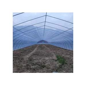 Große Fläche im Schuppen Kunststofffolie Regenschutz Beeren Gemüse Gewächshäuser Landwirtschaft Stahlkonstruktion zu verkaufen Direktlieferant