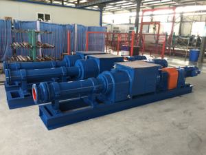 Bomba de Cavidad Progresiva A01 MX - Product Image 5