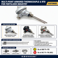 Termokopel & RTD Berlapis Multi Titik Huadong, Sensor Suhu Dalam Industri Pupuk IEC Ex Proof
