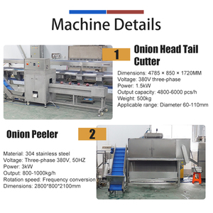 Machine à couper les têtes et les queues d'oignons et machine à peler les oignons Fengxiang 800-1000 kg/h - Product Image 4