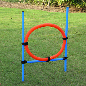 Pet seguro Barra de salto agilidad dispositivo equipo de entrenamiento perro obstáculo perro agilidad equipo - Product Image 1