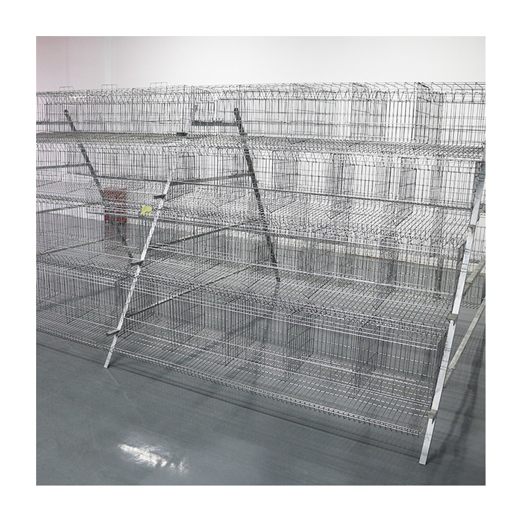 Automatic Industrial Chicken Cage Large 100