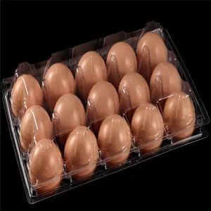 Modèle-plateau à œufs 015Z Transparent en plastique PET recyclé 15 pièces plateau à œufs récipient à œufs de haute qualité