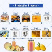 Prijs van een productielijn voor het maken, verwerken en produceren van mini citroen-appel-mango fruitsap