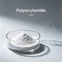 Polvo de Poliacrilamida Soluble en Agua para Clarificación de Aguas Residuales, Sedimentación y Proceso de Floculación