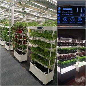 Home Use Irrigation Hydroponics Equipment for Home Use - Product Image 3