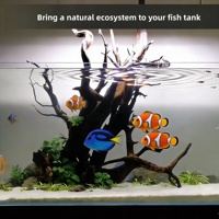 Décoration d'aquarium en bois flotté en gros, racine naturelle, branches assorties, habitat pour reptiles, corail, grande pièce