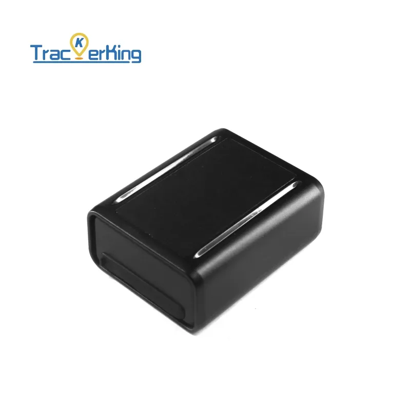Strong Magnetic Portable Car GPS Vehicle Tracker P808 Long Time Standby Mini GPS Tracking Device with Free Platform
