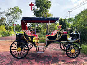 Charrette Électrique Certifiée CE pour le Transport en Parc, Chariot de Luxe à Double Rangée pour Visites Touristiques Européennes à Vendre - Product Image 6