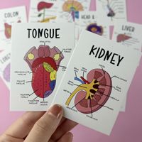 Cartes d'apprentissage sur l'anatomie humaine, personnalisables en plusieurs tailles, en matériau écologique