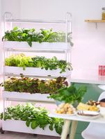 Système aquaponique vertical automatique pour jardin domestique, couverture en PVC haute rigidité, fournitures complètes d'irrigation, culture de légumes