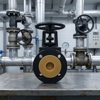 Vanne à opercule en fonte selon la norme russe GOST, vanne à opercule à bride en fonte ductile PN10 PN16 pour système d'alimentation en eau