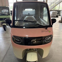 Nuomi M3 Tricycle Électrique de Loisirs Entièrement Fermé à 2 Portes, Cabine Fermée à Basse Vitesse PMSM, E-Trike pour les Déplacements Quotidiens en Famille