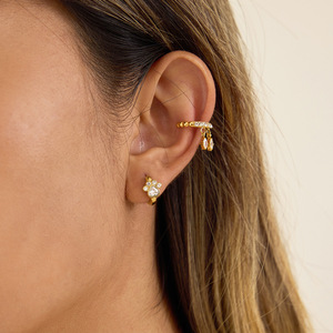 Cat Paw Huggie Earrings Gold Tone Zircon <b>Crystal</b> <b>Animal</b> Shape Everyday Wear Stainless Steel Jewelry - Product Image 3