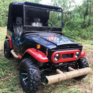 Nuevo Vehículo Utilitario Todoterreno de Lujo de Acero para Energías Renovables, Buggy de 2 Asientos, Camioneta, Scooter a Gasolina Tipo Jeep - Product Image 6