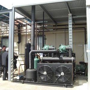 R507a lạnh lạnh lưu trữ lạnh Thiết bị làm lạnh làm mát bằng không khí nhiều hệ thống máy nén với máy nén trục vít bitzer - Product Image 5