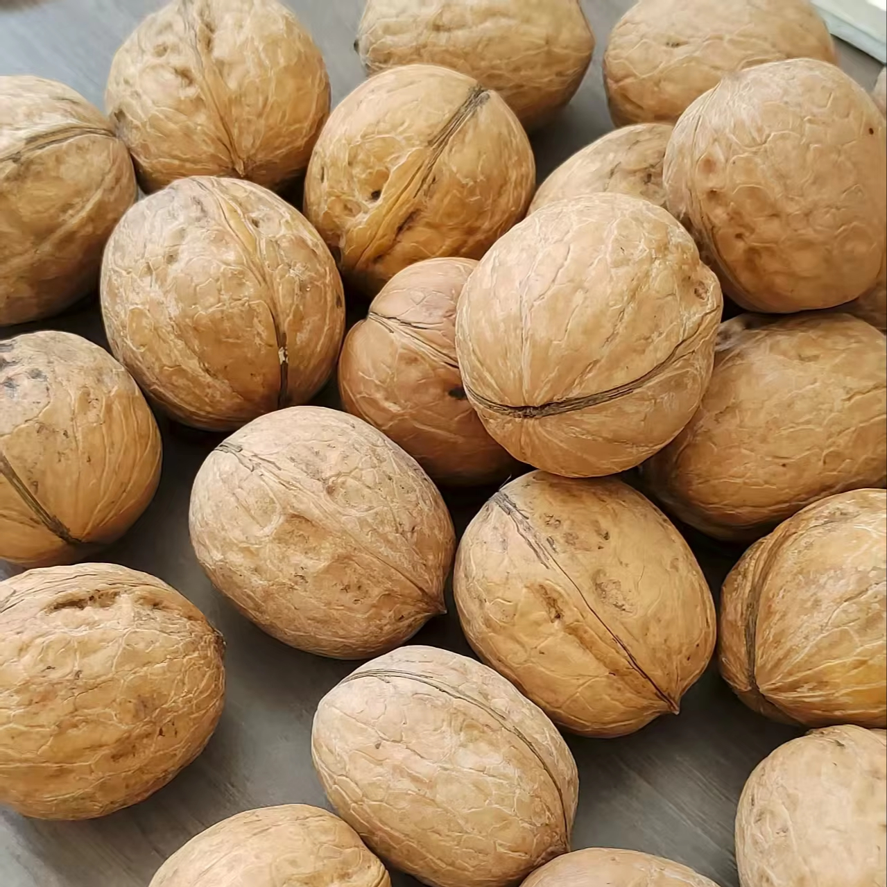 33 Organic In-Shelled Walnuts Top Class Dried Style Half Whole Snacks Bulk Packaging Shell Best Price Raw Walnuts