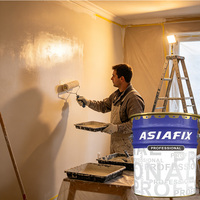 Peinture murale émulsion texturée lavable, durable et résistante aux taches Asian Paint Beger