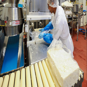 Línea <span class=keywords><strong>de</strong></span> producción <span class=keywords><strong>de</strong></span> queso cheddar - Product Image 6