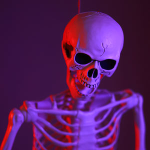 Squelette d'Halloween 165 cm en plastique, squelette humain articulé, décoration effrayante, forme humaine, taille proportionnelle - Product Image 1