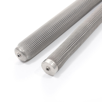 Cartouche filtrante plissée en acier inoxydable 100 µm pour le traitement de l'eau de pluie