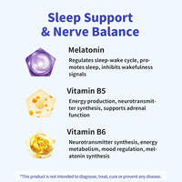 Complément alimentaire de haute qualité à marque privée pour le sommeil : Vitamines B5 & B6 en bandelettes, ingrédient actif à la mélatonine, favorise l'endormissement et améliore le sommeil profond.