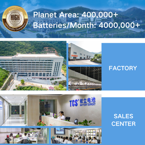 <span class=keywords><strong>55B24L</strong></span> صنع في اليابان سيارة بطارية اليابان القياسية Largestar Mf <span class=keywords><strong>55B24L</strong></span> 12V4 5Ah بطارية سيارة Mf بطارية السيارة - Product Image 6