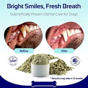 مسحوق تنظيف الأسنان للكلاب حصرياً من الشركة المصنعة، مكمل غذائي بالفيتامينات والمعادن صديق للبيئة 180 جرام لإزالة الجير ورائحة الفم الكريهة - Product Image 2