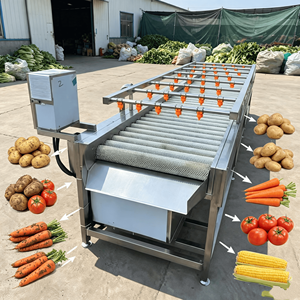 Machine à laver les fruits et légumes robuste et professionnelle de 800 kg/h pour les cultures souterraines - Product Image 1