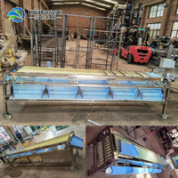 Multifunctionele fruit- en dadels sorteermachine, tracktype dadels sorteermachine, palm rode dadels sorteermachine