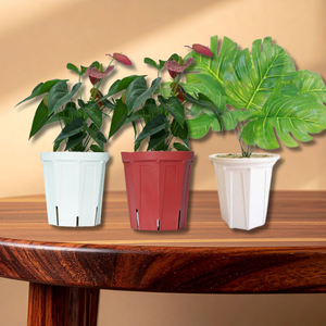 Pots de pépinière en PP écologiques de grande taille, jardinières durables pour fleurs et semis, pour serre et jardinage domestique - Product Image 6