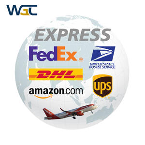 Fda Amazon La Magazijn Express Expediteur Naar Vietnam Plant Expressie Vector 20ug Vw Transporter Camper - Product Image 1