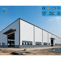 Kits de construction d'entrepôts en acier à prix avantageux, hangars préfabriqués en métal, ateliers, construction en acier, hall