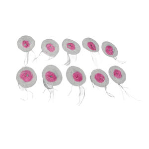 30 पीसी शिविर गैस लालटेन लैंप मैटल पोर्टेबल सरल स्थापना हाइकिंग गैस लाइट मैटल सेट Z00124 - Product Image 2