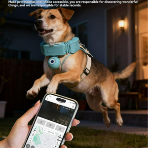 Smart GPS Hunde halsband Doppel frequenz Geo Fencing Anti Bark Tracker Wiederauf ladbar 1 Monat lange Akkulaufzeit für die Sicherheit von Haustieren im Freien - Product Image 3