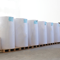 Autocollant adhésif en rouleau géant simple face en BOPP flexible, activé par l'eau, imperméable, pour scellage de cartons, 160-180 g/m²