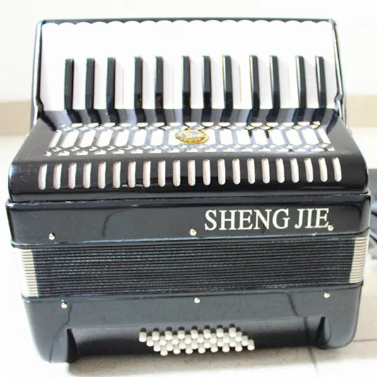 Hot sale professional Western keyboard instrument 30 key 32 bass accordion adult&students perform accordion r