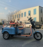 YINGWU Tricycle électrique pour adultes 500W Nouveau Tricycle électrique bon marché Fabricant chinois