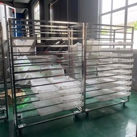 Plc Gecontroleerde Warmtepomp Droger Machine Gaas Riem Droger Kast Voor Plantaardige Pompoen Poeder Verwerking Van Fruit Groente Groente Machines