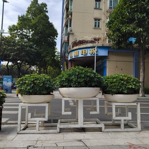 Phật sơn sản xuất kích thước lớn Lọ hoa Vòng sợi thủy tinh lưu vực hoa cho vuông hoặc <span class=keywords><strong>Plaza</strong></span> - Product Image 2