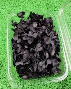 Flores de Hortensia Secas al por Mayor, Relleno Floral Preservado Negro en Caja para Decoración de Hogar, Bodas y Eventos - Product Image 1